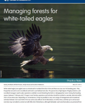 Managing Forests for White-tailed Eagles